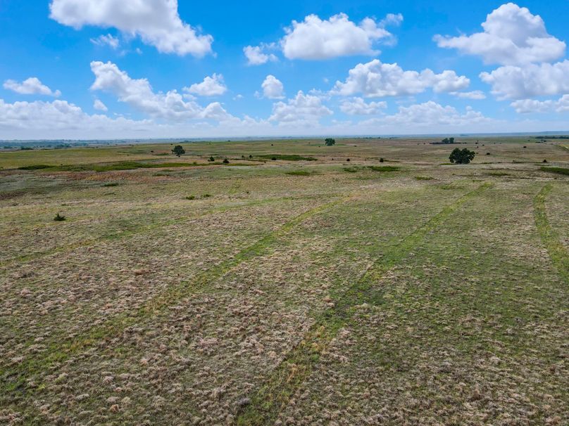 Comanche320_061 copy