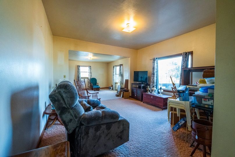 Copy of DSC00632 Large