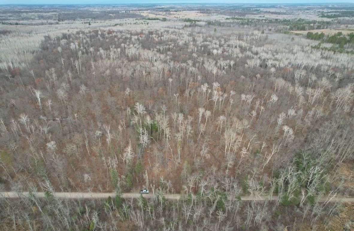 dji_fly_20251104_160626_998_1762294544117_photo