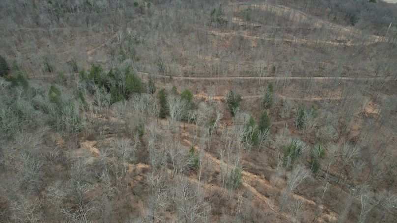 dji_fly_20260323_135642_191_1774365624705_photo