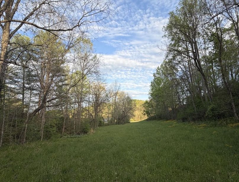 021 Secluded back field bordered by hardwoods is ideal for a food plot, barn setup, or quiet cabin location.-2