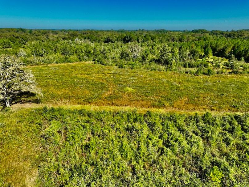 869483DD-D845-4124-BBAA-09C62D231A81_1_201_a