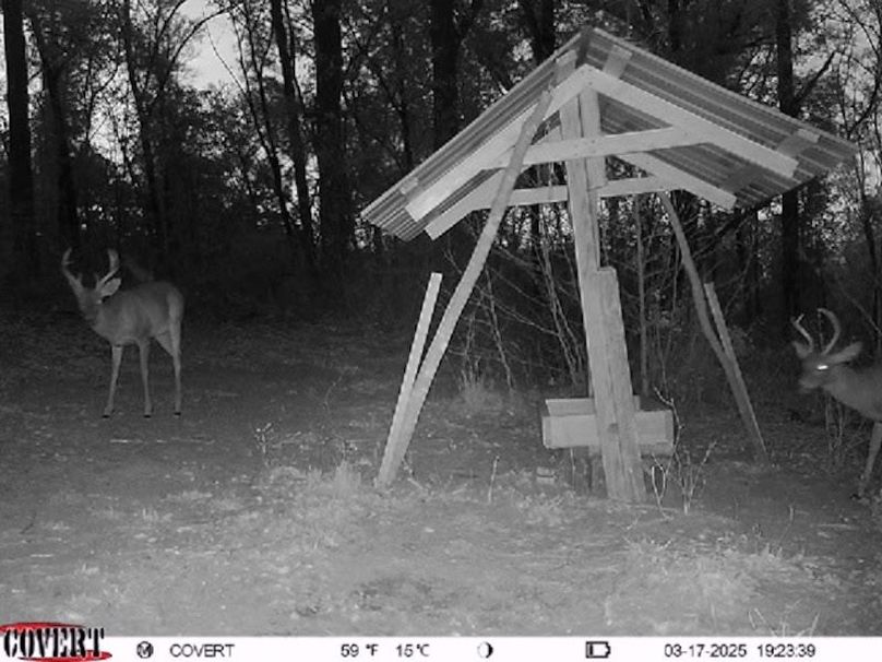 Trail Cam 8