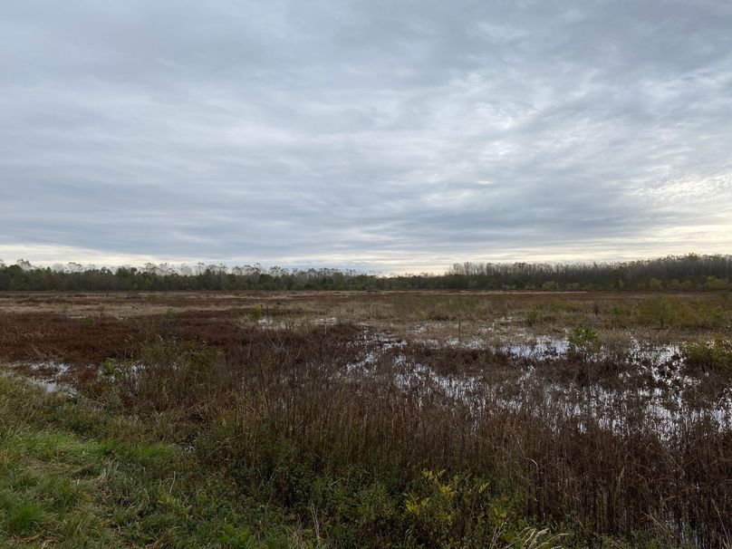 pics from late 2021 and early 2022. New plots being planted in Aug 2023 for new pics (21)