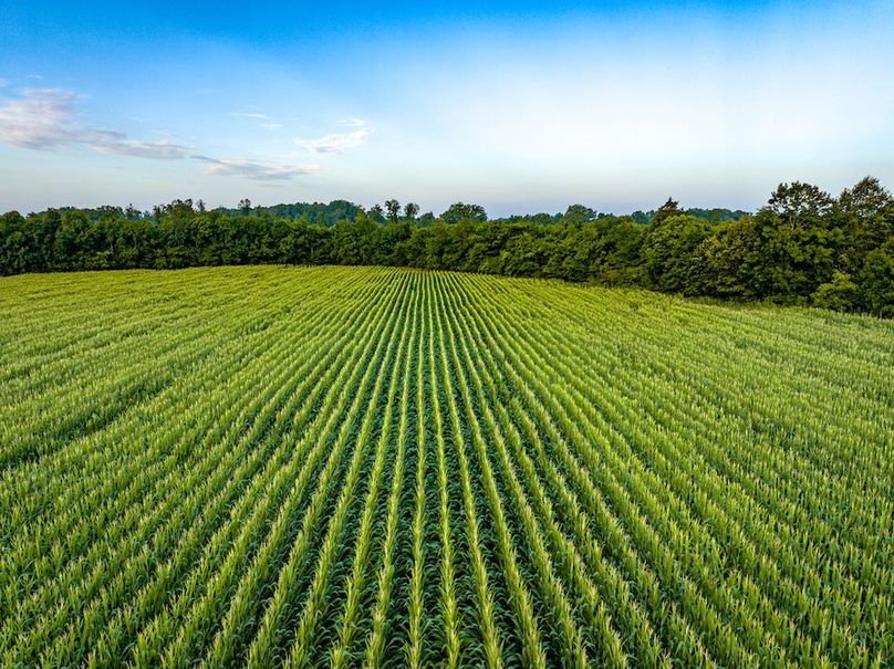 Copy of Noxubee 112.1 +- Tract 1-28