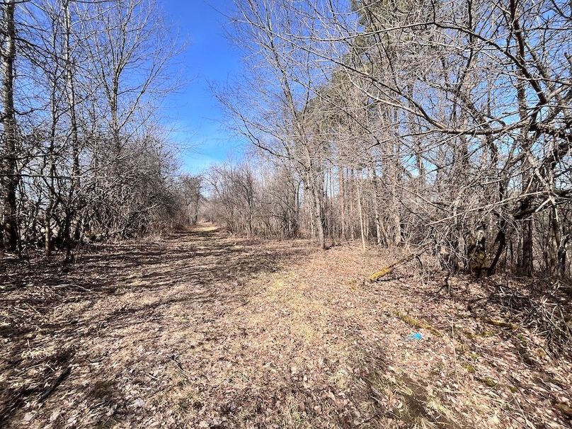 Lewis_26_Somberg Photo 11