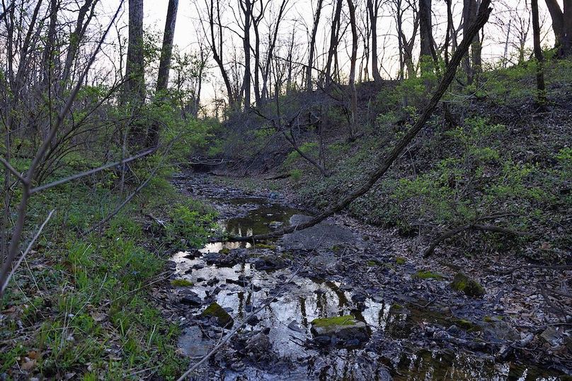 3 Copy of 5 CX9A0550