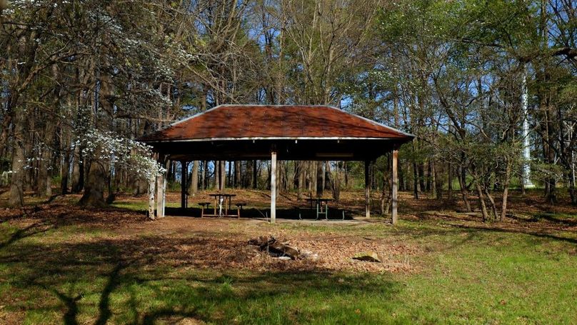 WILLIAMSON, IL 65.00_01_32_13.Still012