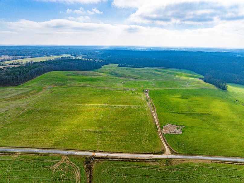 Henry 137 Miller-15-2