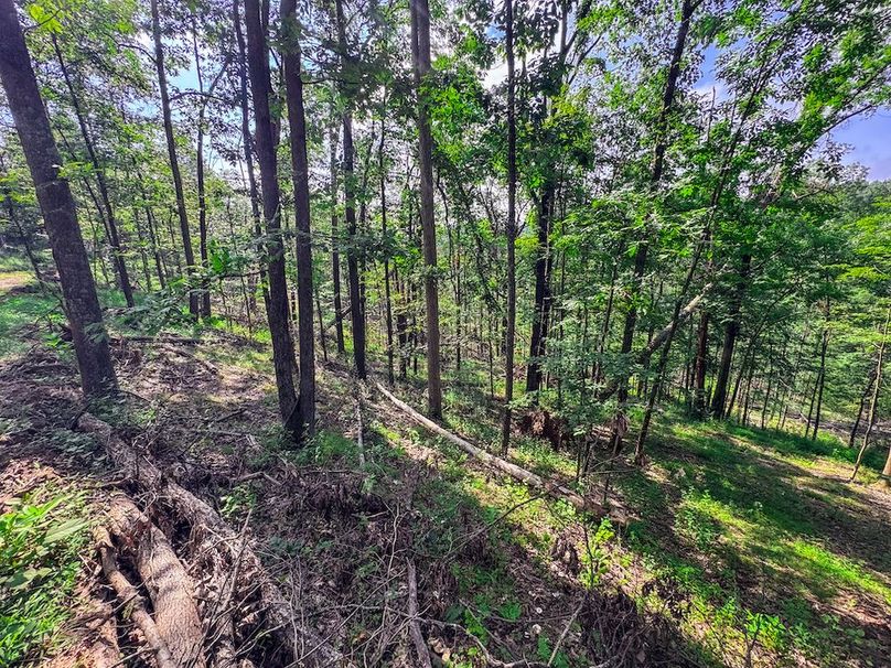 Lewis, WV 105 AC Miller-70