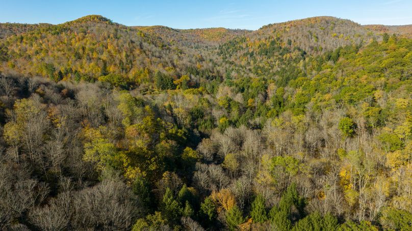 Elk PA 7000 Feature_Pro Photo-58