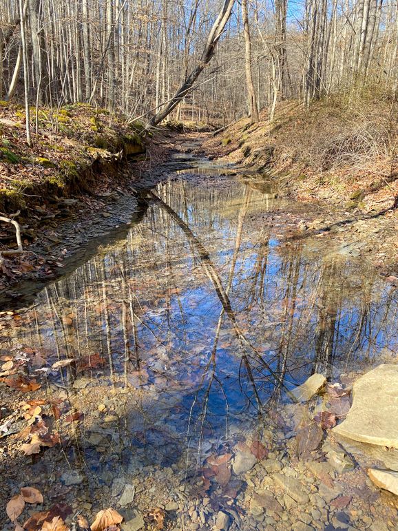 Lewis ky 304 Austin 008