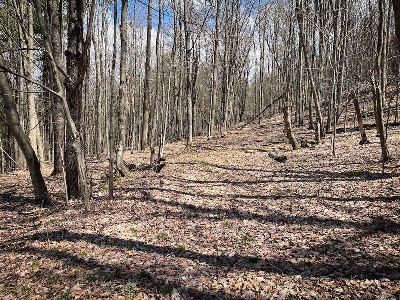 Tioga__NY_109.7_Burris_Photos_79