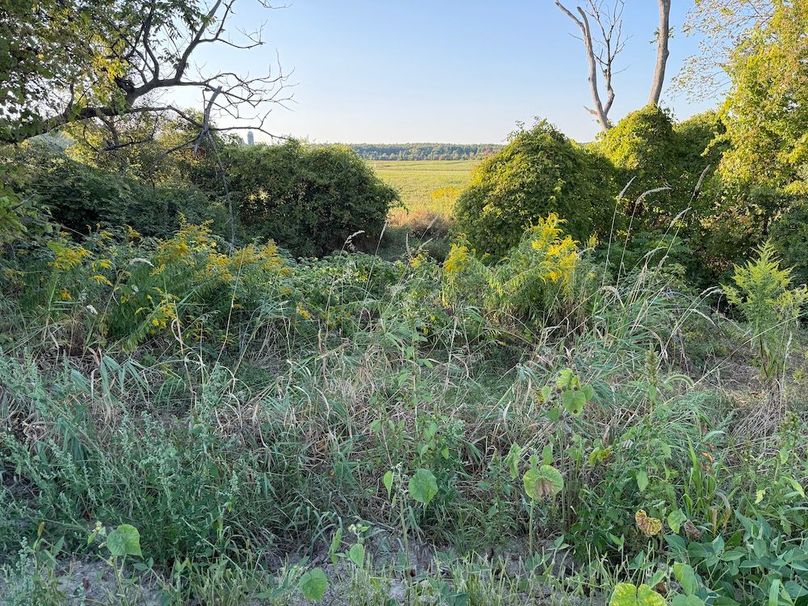 Copy of Wood Tract 6 Photo 8