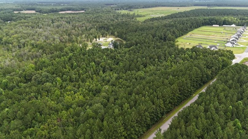 dji_fly_20250715_110656_0585_1752592289637_photo