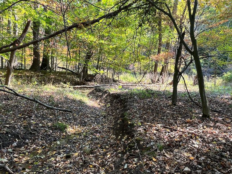 Yates_29_Stape Photo 14