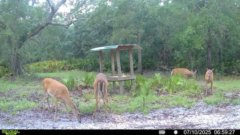 016579002709132-100-2-07102025065927-SYFW00035