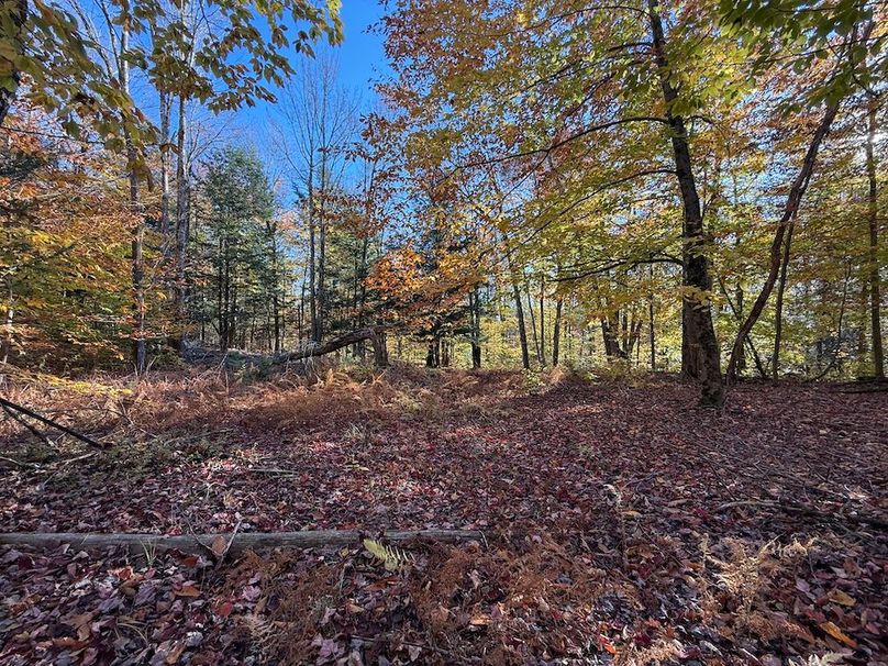 Oswego_26.28_Koehler Photo 24