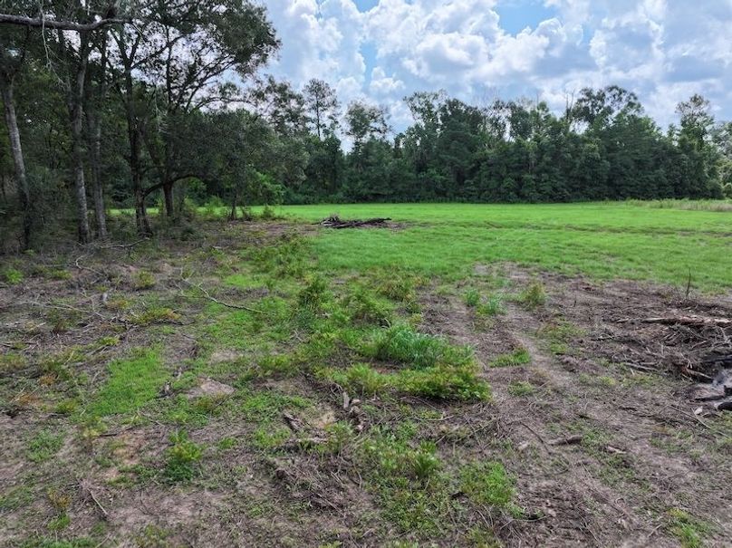 dji_fly_20250708_104200_0187_1752089899328_photo