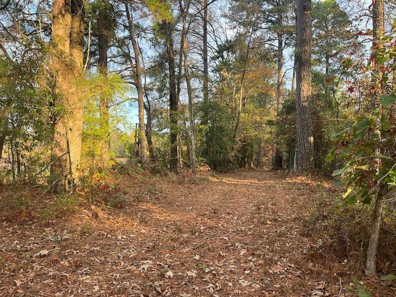 Dal_40_Denton20251117_0347