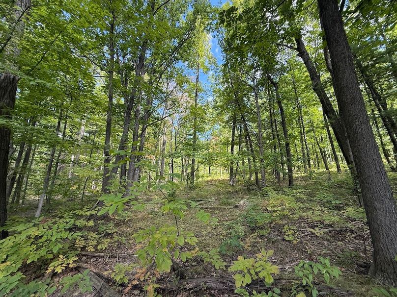 Ontario_33.3_Proseus Photo 40