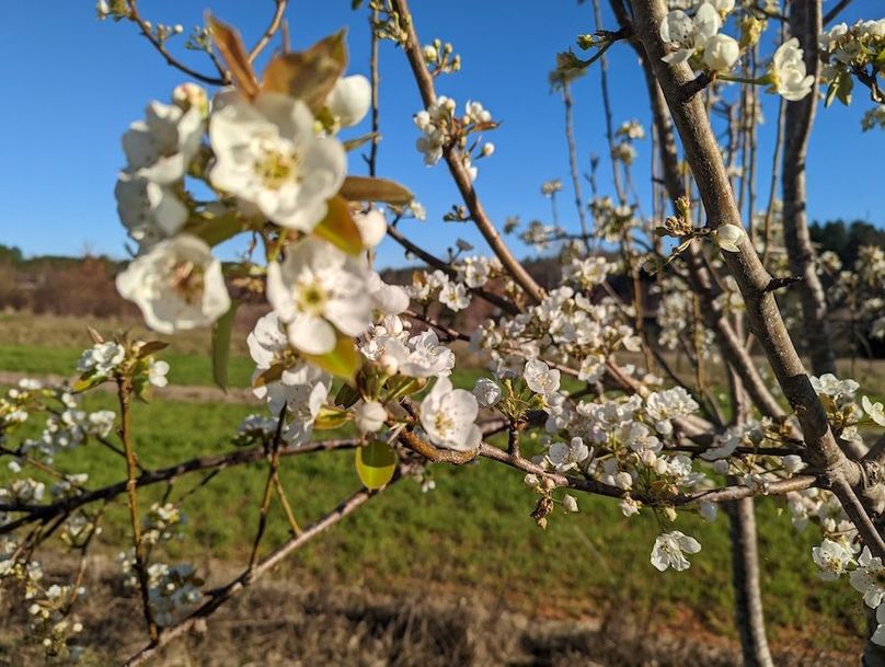 PXL_20220320_130552900