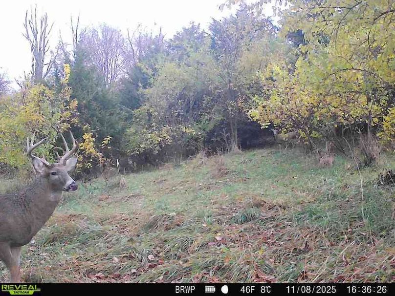 860322065924133-100-4-11082025163626-W1000699