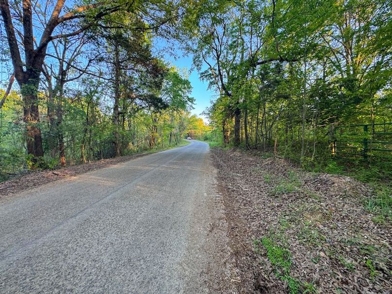 Tallahatchie 44 Newman (Crowden) Wide-56