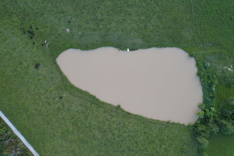 DJI_0393