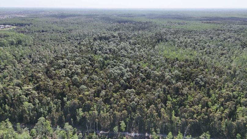 DJI_20260422092411_0498_D