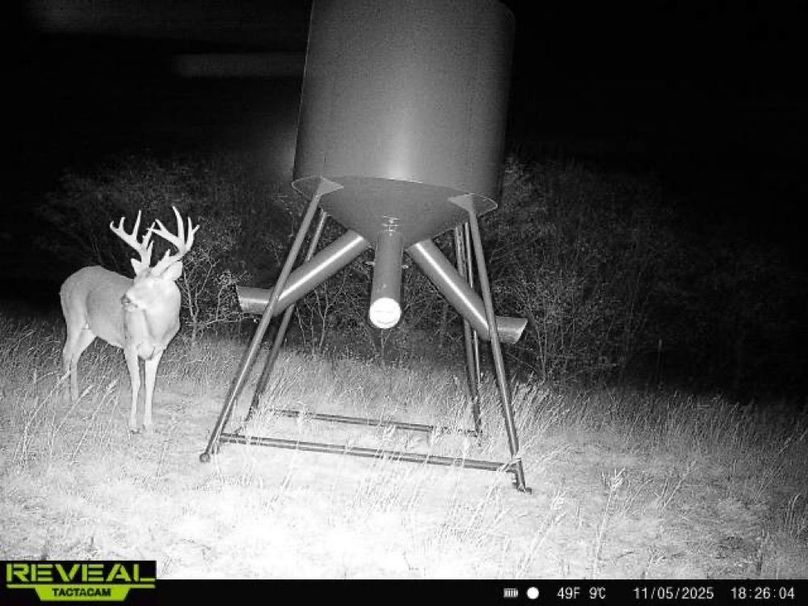 865977050266538-100-4-11052025182604-W1000731