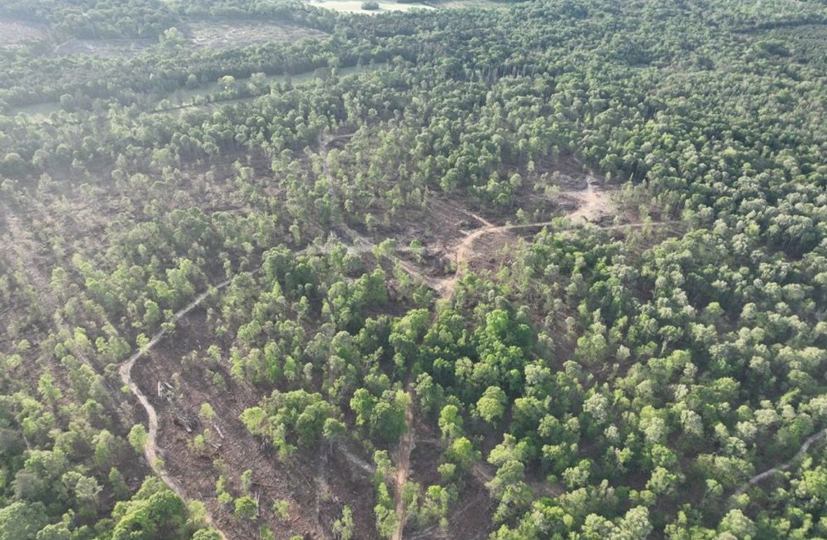 dji_fly_20260407_083106_342_1775580388318_photo