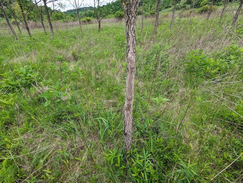 PXL_20240515_154650055