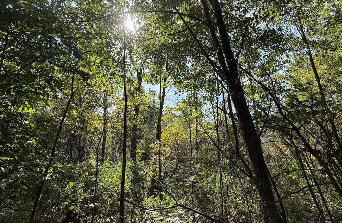 Chemung_20.82_Meyers Photo 4