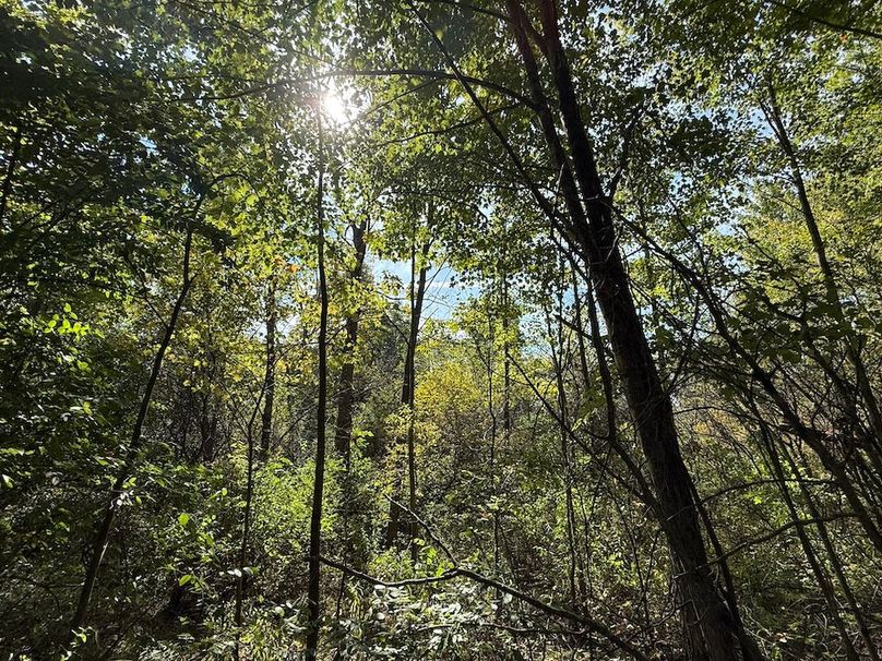 Chemung_20.82_Meyers Photo 4