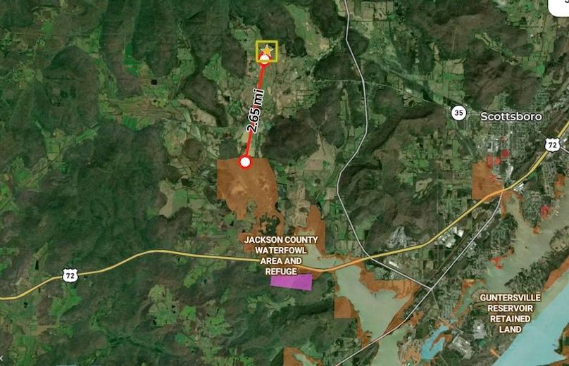 Screenshot 2026-03-31 at 11.15.29 PM