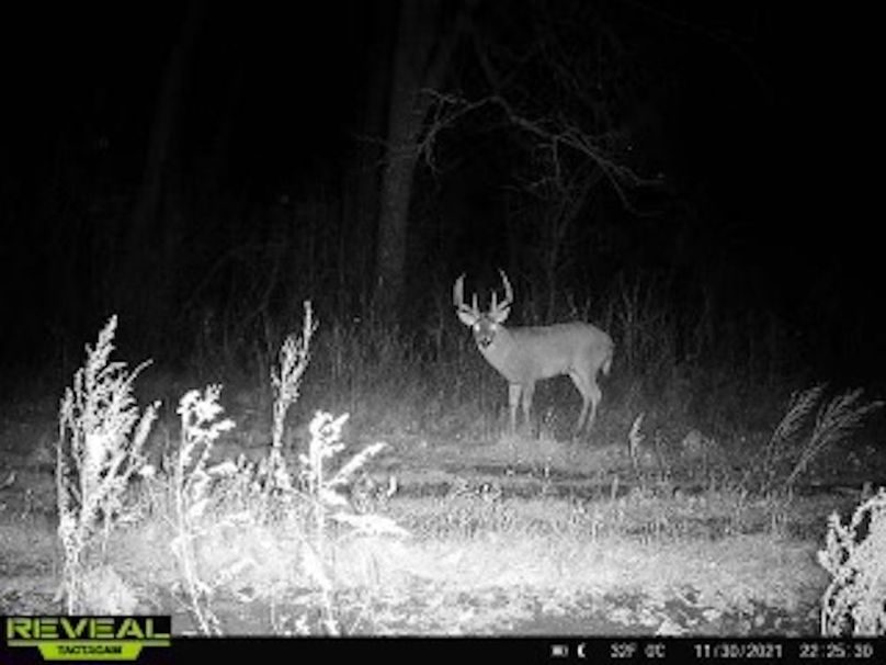 c17c27b3-d2b0-477b-9543-56717fd8fde9