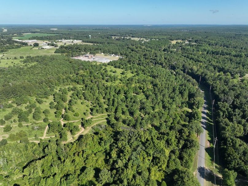 dji_fly_20240827_095040_728_1724766992529_photo