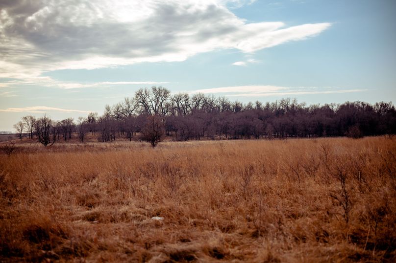 31 Bedding area