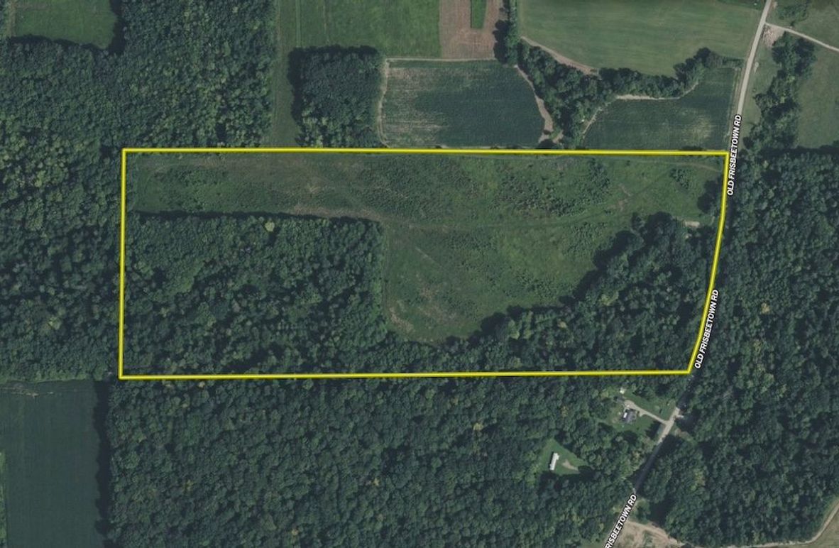 Screen Shot 2025-07-25 at 2.28.11 PM