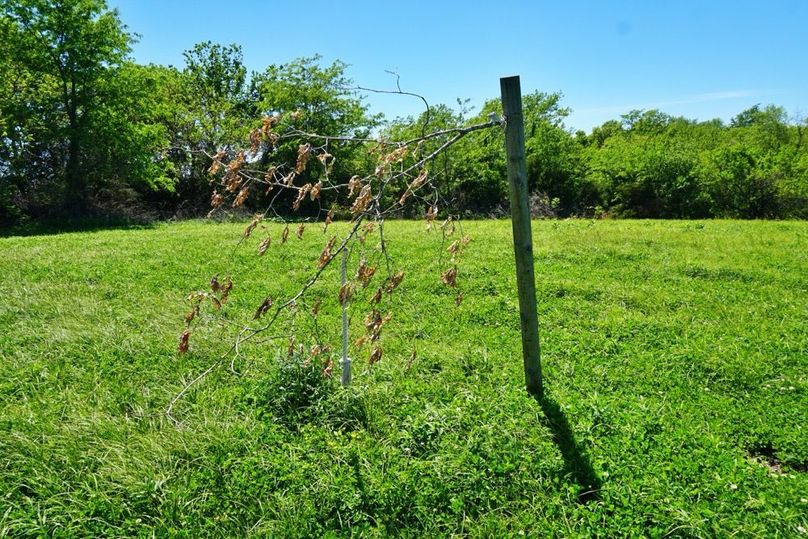 DSC08400