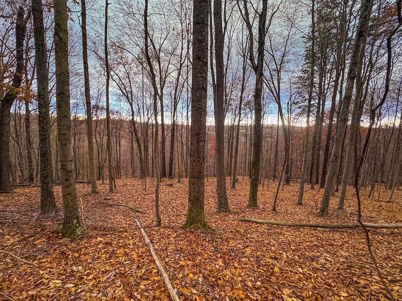 Ritchie, WV 14.081 AC Currey-23