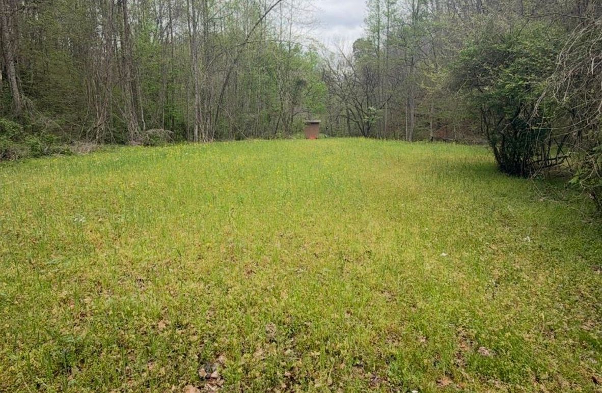 002 North End of the First Food Plot