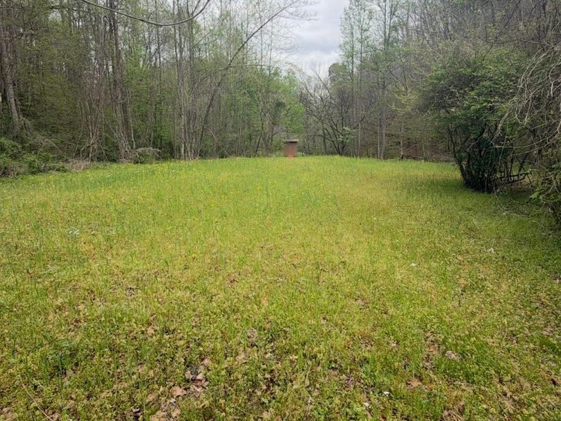 002 North End of the First Food Plot
