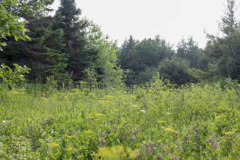 Mackinac20Fewins-6007