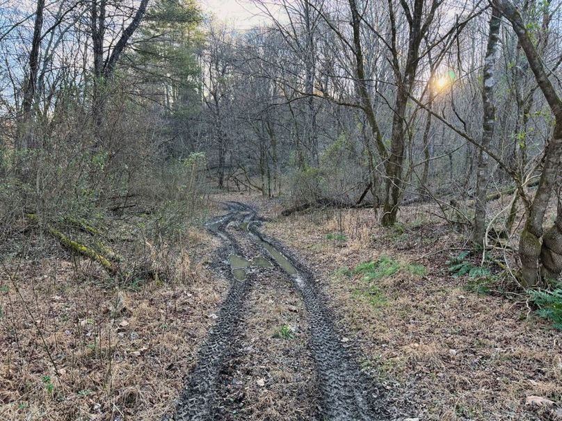 011 nice trails leading through the property-2