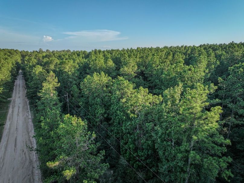 Copy of DJI_20240704191540_0056_D