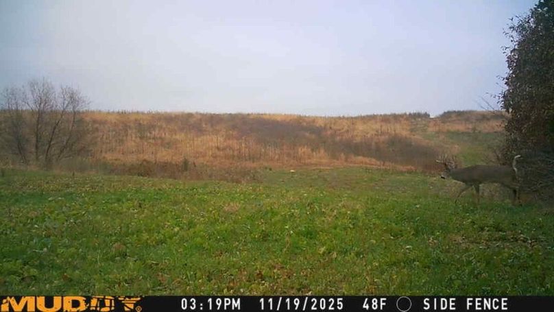 25111915193201004774_ColorizationType.none