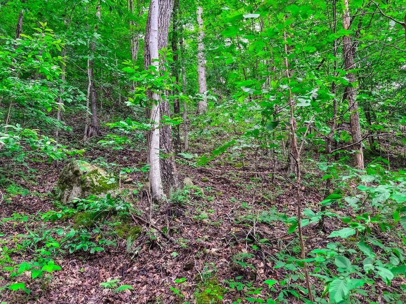 Wirt, WV 137.45 AC Full-12