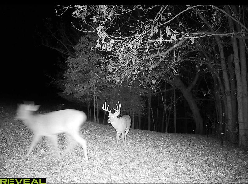 Screenshot 2024-03-03 at 7.11.05 PM